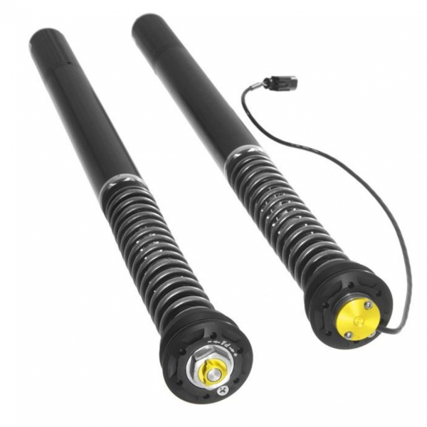 Touratech Suspension Cartridge Plug&Travel for BMW R1250R (2018-)