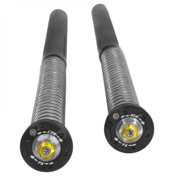 Touratech Suspension Open Cartridge Kit for CFMOTO 450MT (2024-)