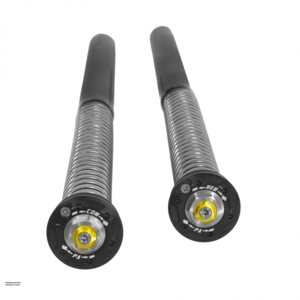 Touratech Suspension Open Cartridge Kit for Yamaha Ténéré 700 (2019-2024)