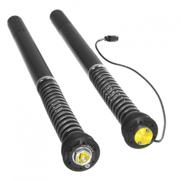 Touratech Suspension Cartridge Plug&Travel for BMW R1250RS (2018-)